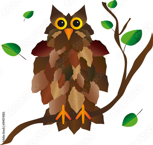 An owl on a branch