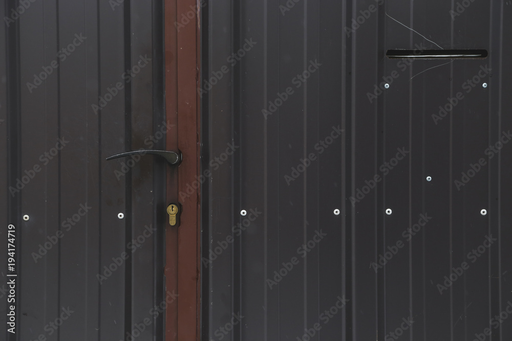 Fototapeta premium Old gate entrance, front view