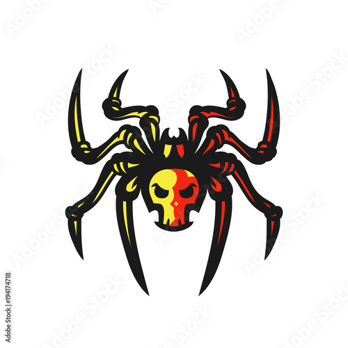 Spider vector logo illustration photo