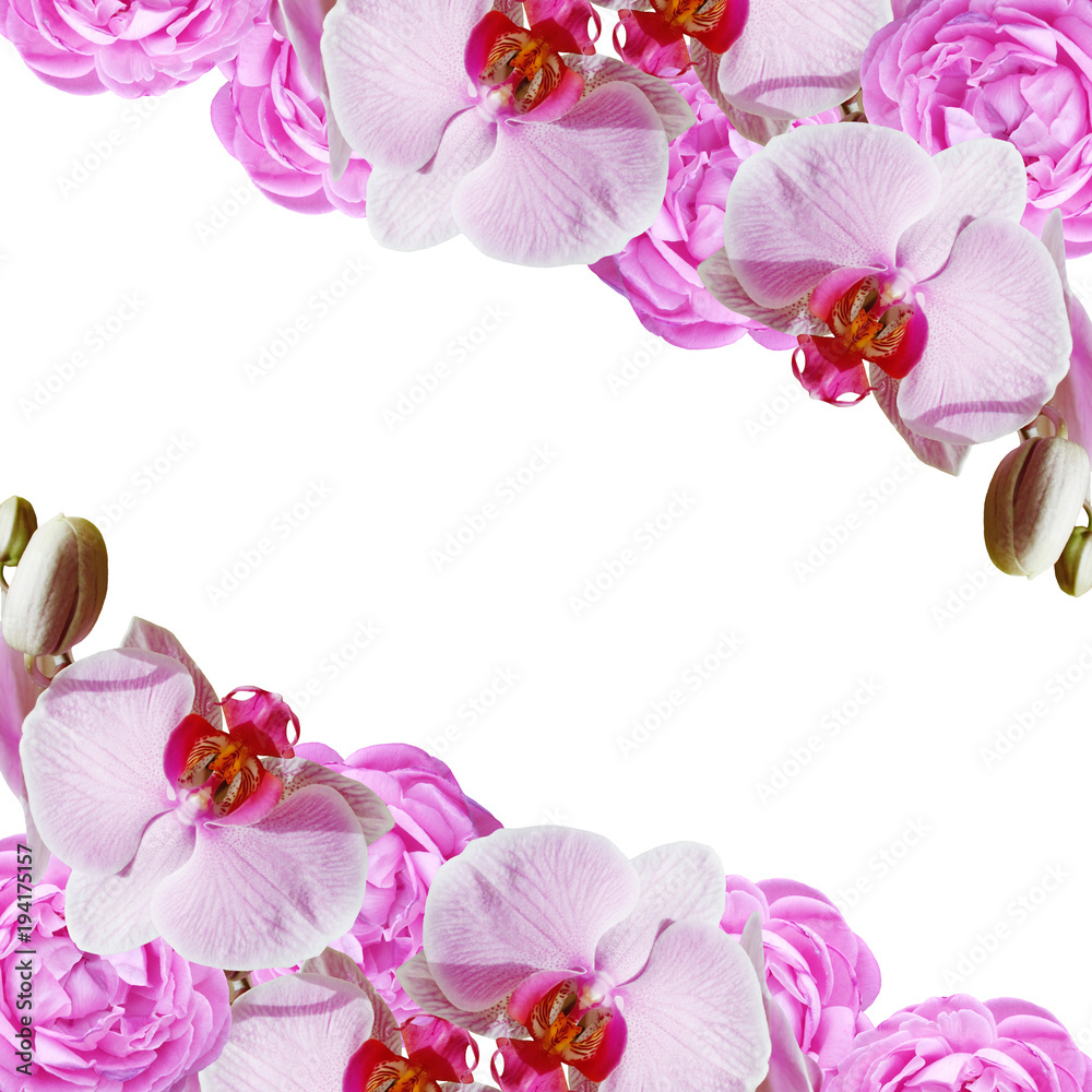 Beautiful floral background of roses and orchids Beautiful floral background of roses and orchids