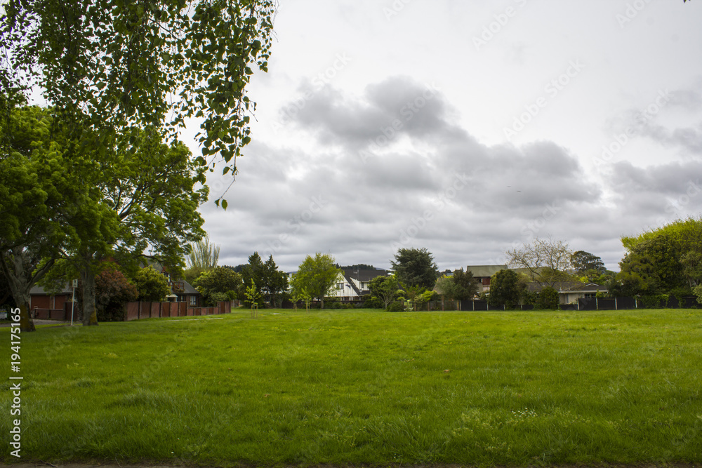 Green field and suburban houses landscape
