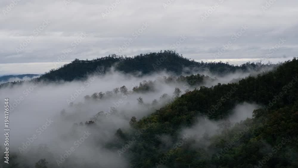Mist in the morning moving along the mountain. Mist in the morning moving along the mountain.