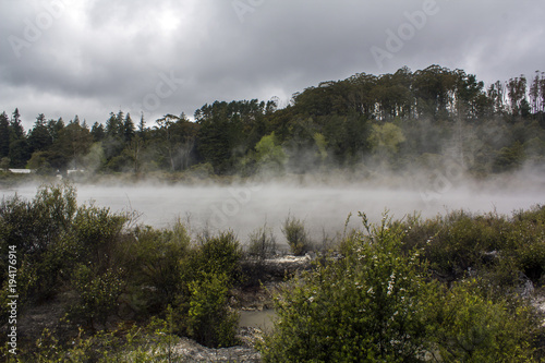 Foggy river and forest landscape