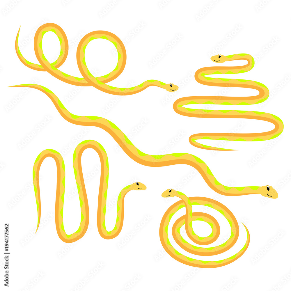 Set of cartoon funny colorful snakes. Isolated on white background ...
