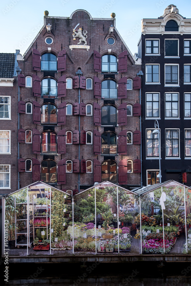 Obraz premium Lila Hausfassade in Amsterfam