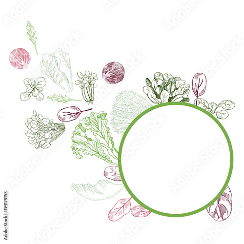 Vector frame with hand drawn different kinds of lettuce on white background.