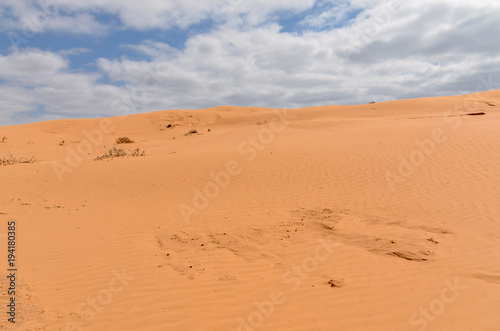 slopes of orange sand dunes in the desert Republic of Kalmykia