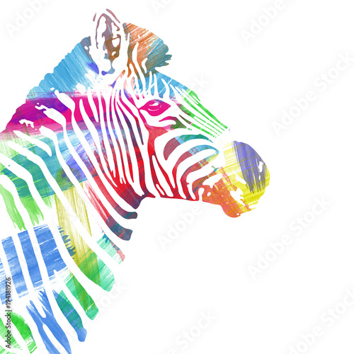 Zebra profile painted in watercolor  digital art. Equus quagga