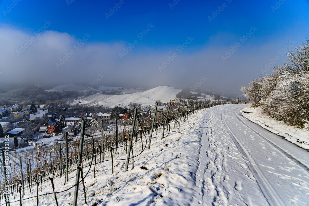 Weg durch verscheite Weinberge Weg durch verscheite Weinberge