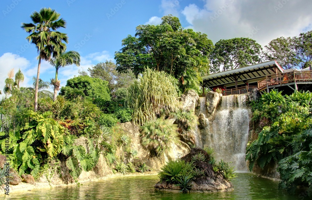 jardin exotique et cascade de la Guadeloupe jardin exotique et cascade de la Guadeloupe