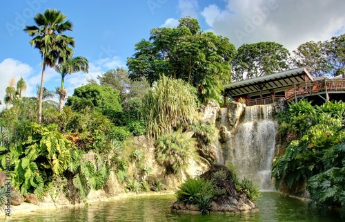 jardin exotique et cascade de la Guadeloupe
