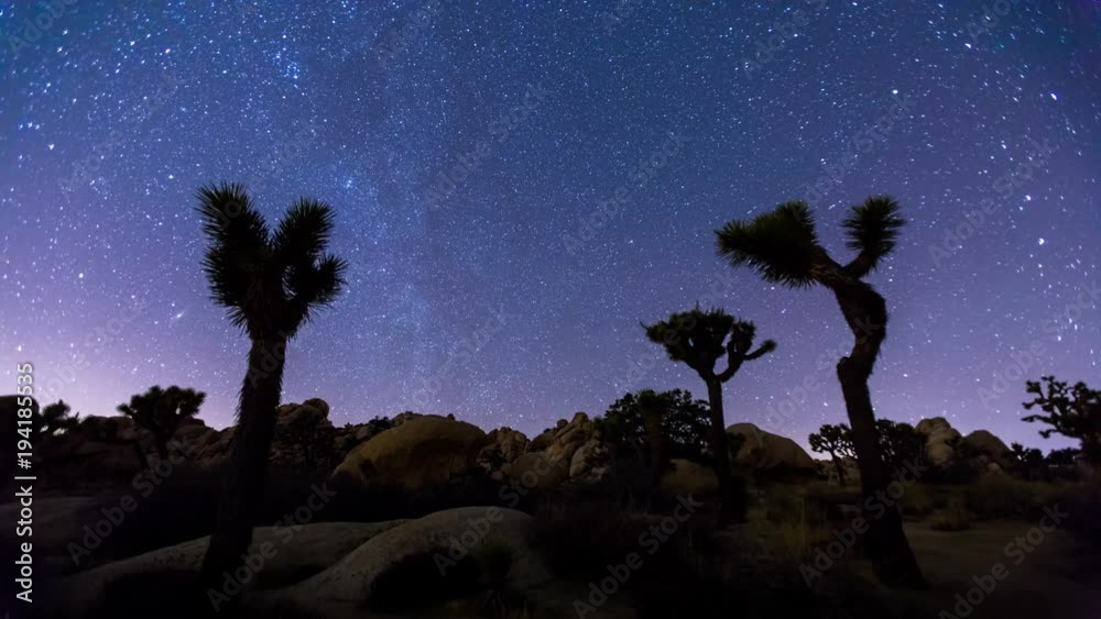 Joshua Trees night 4k timelapse, Joshua Tree National Park, California