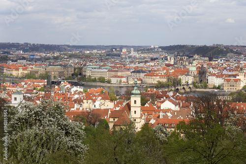 View on the spring Prague City with the green Nature and flowering Trees, Czech Republic