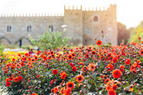 The Garden of Santa Barbara alongside the eastern wing of the historical Archbishop's Palace. Colorful flowers under the bright summer sun. Portugal, Braga.