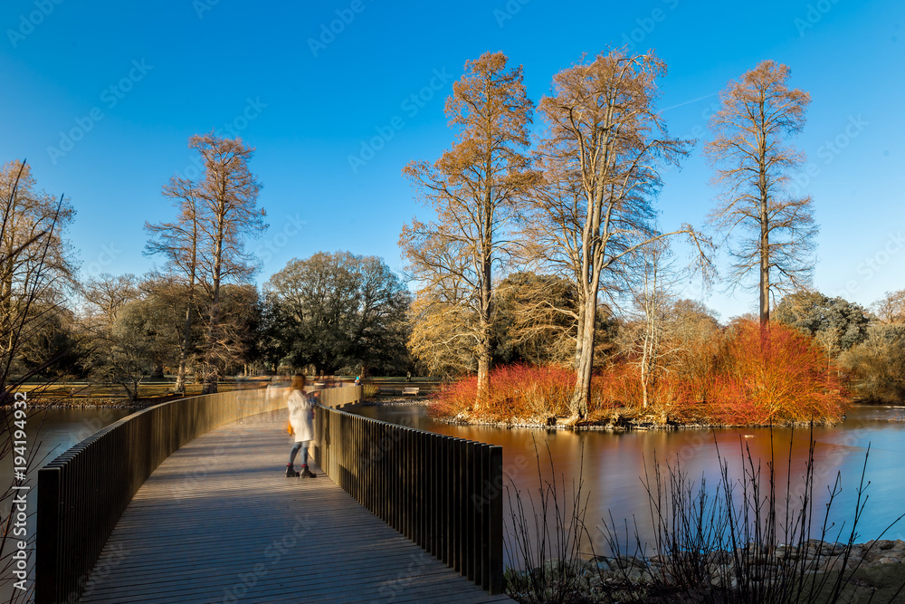 Naklejka premium Lake in winter in Kew Gardens, London