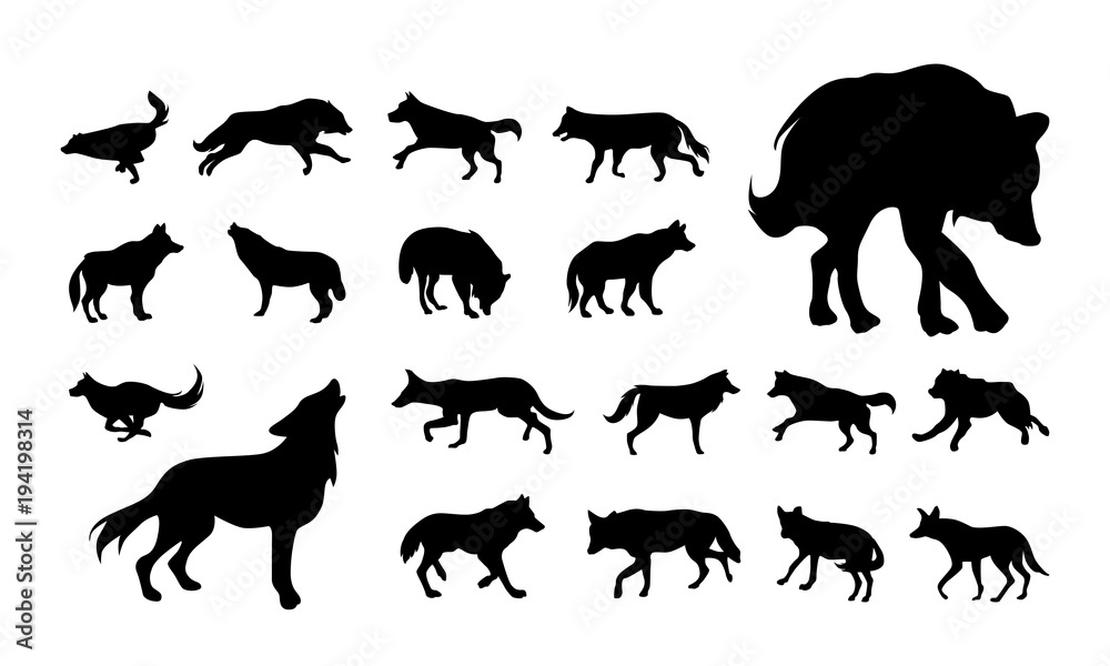 Obraz premium zestaw różnych wektor wilk i lis sylwetka