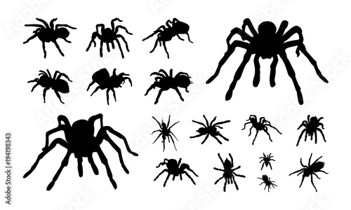 Set of Various tarantula silhouette vector illustration