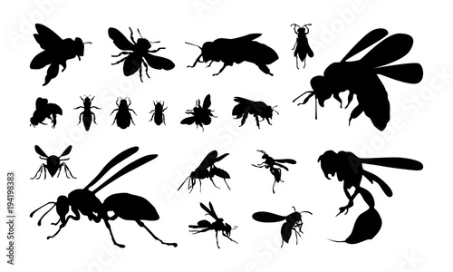 set of Various Bee and Wasp Silhouette vector illustration © Lucky Creative's
