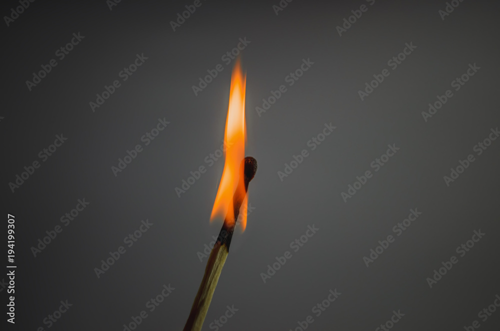 Flame of Match Closeup Shot with Gray Background Flame of Match Closeup Shot with Gray Background