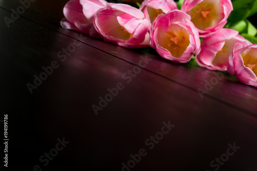 Border from bright pink tulips flowers on black wooden background. Selective focus. Place for text. Flat lay.
