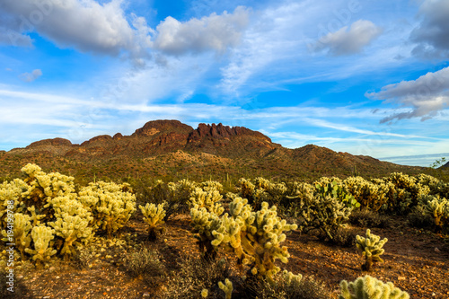 This is Vulture Peak, near Wickenburg, Arizona,, taken from about 1 mile away from the trailhead. The beautiful chollas in the foreground were almost in full bloom.