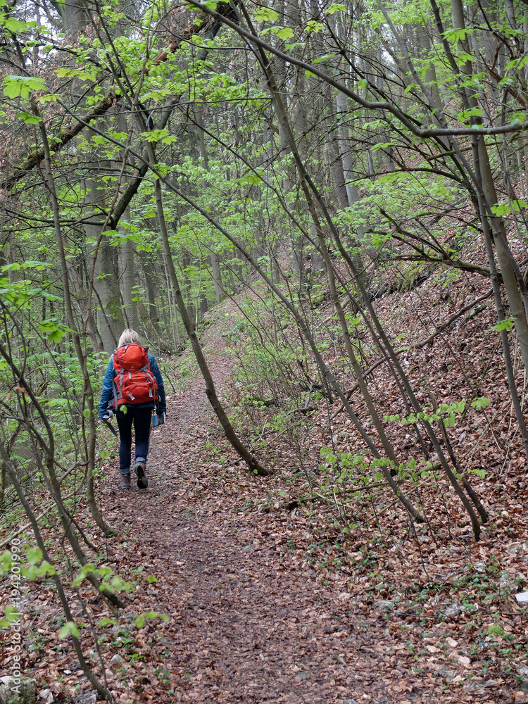 Wandern zwischen Wannbach und Ühleinshof Wandern zwischen Wannbach und Ühleinshof
