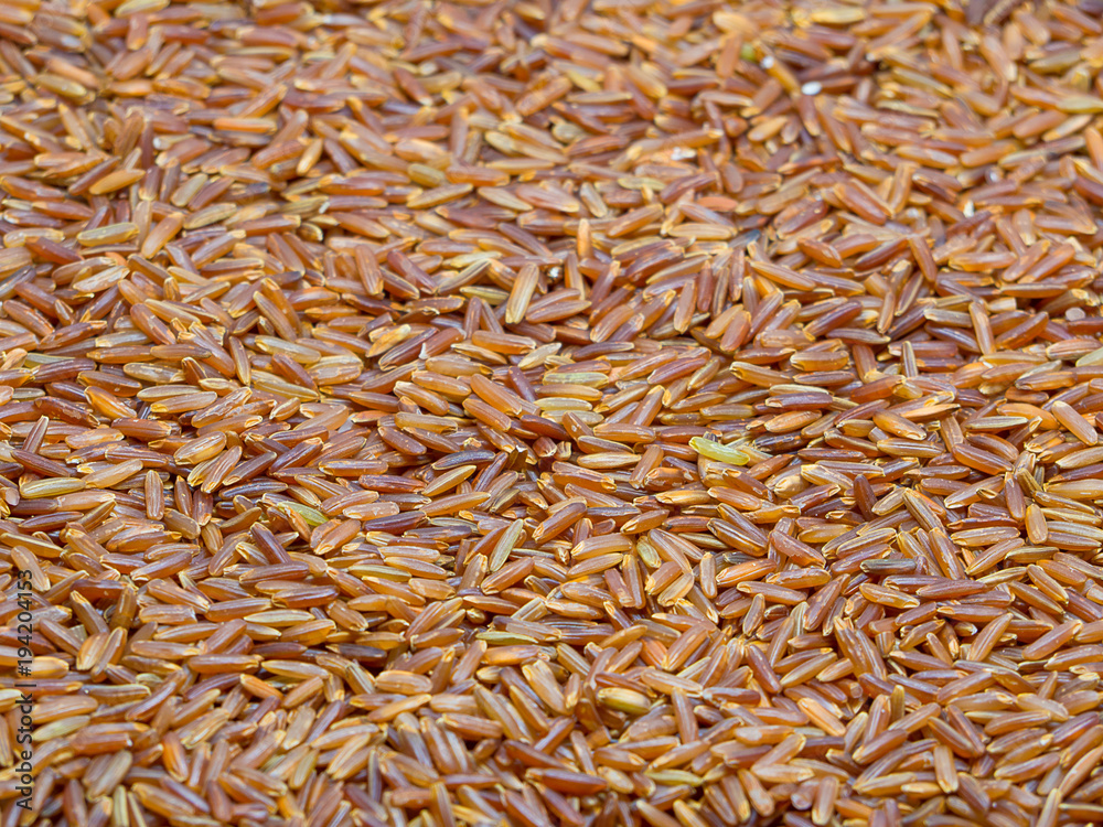Brown rice background.