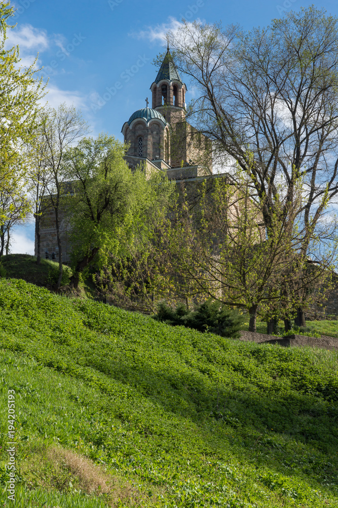 Naklejka premium Ruins of The capital city of the Second Bulgarian Empire medieval stronghold Tsarevets, Veliko Tarnovo, Bulgaria