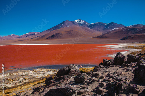 lagoon Colarada in the mountains of Bolivia