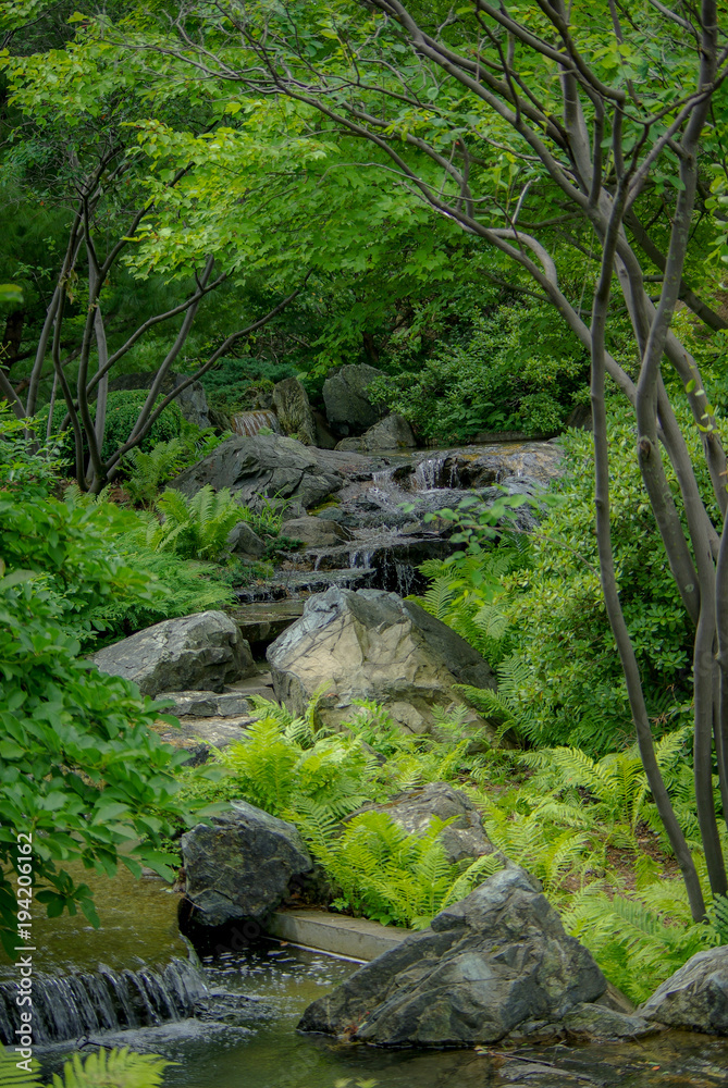 Beautiful stream of water in a green dense forest Beautiful stream of water in a green dense forest