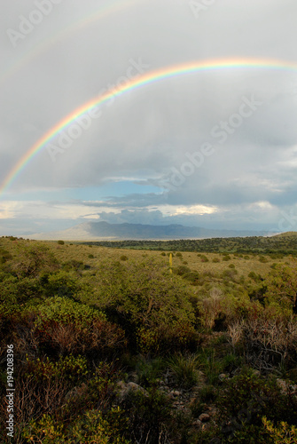 Western Rainbow