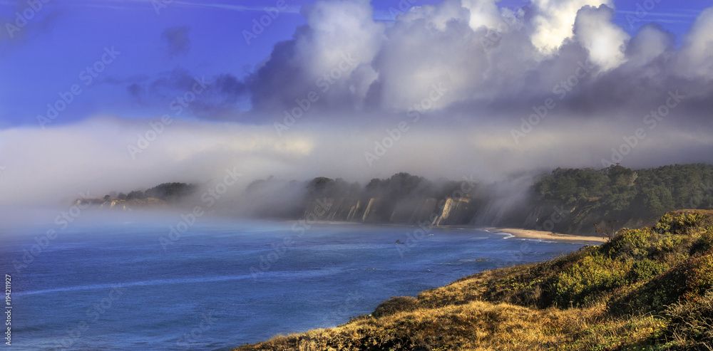 morning ocean fog california