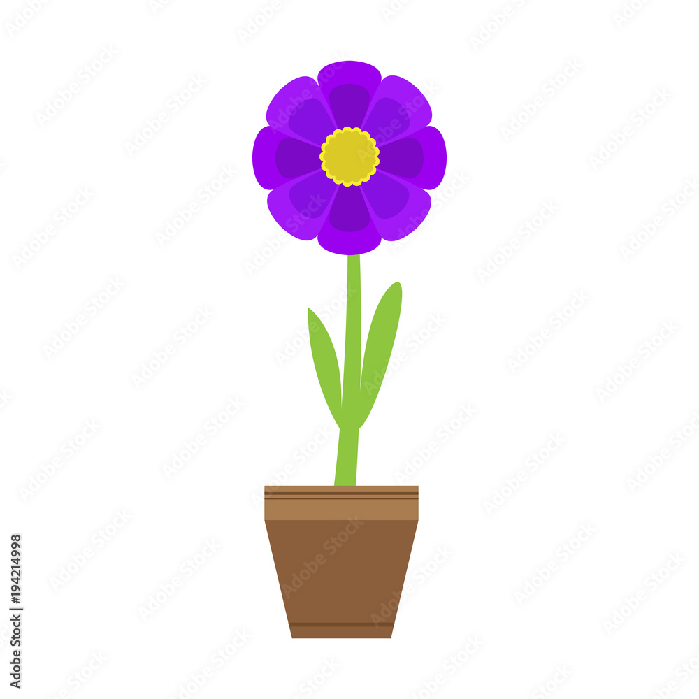Cute flower on a pot Cute flower on a pot
