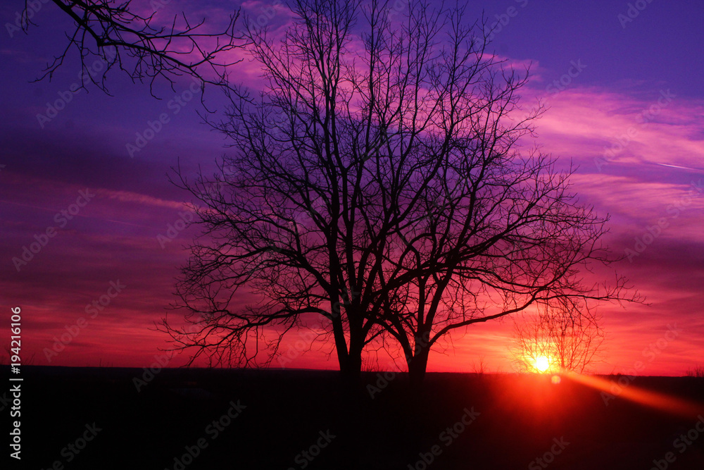 sunsets sunsets