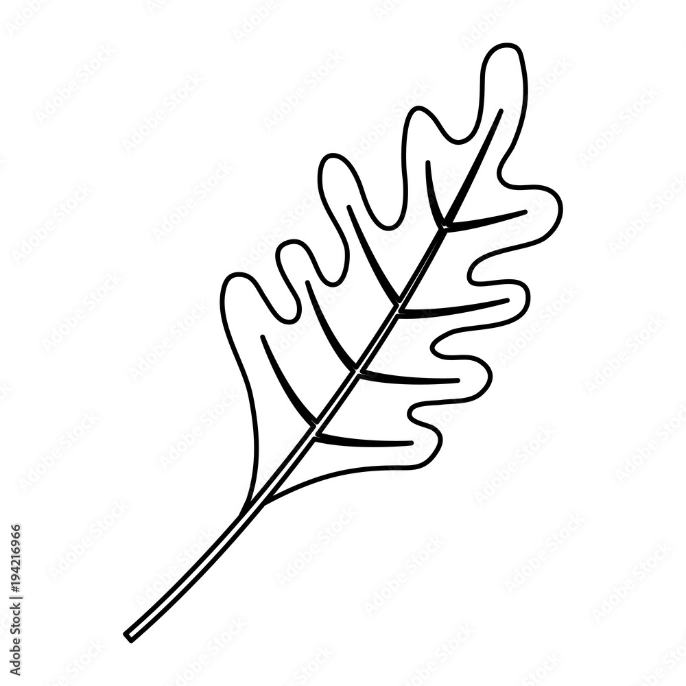 Obraz premium leaf vector illustration