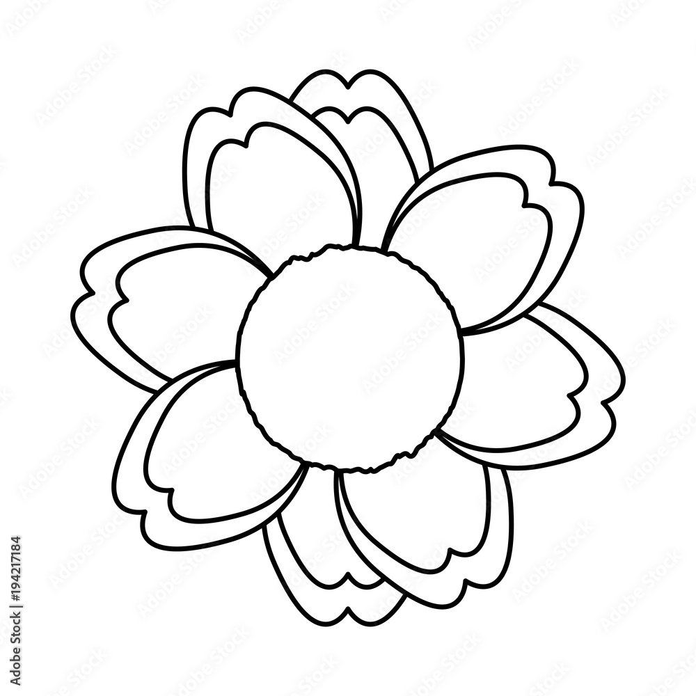 flower  vector illustration