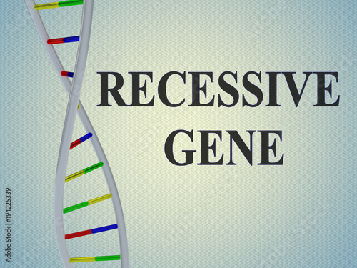 RECESSIVE GENE concept