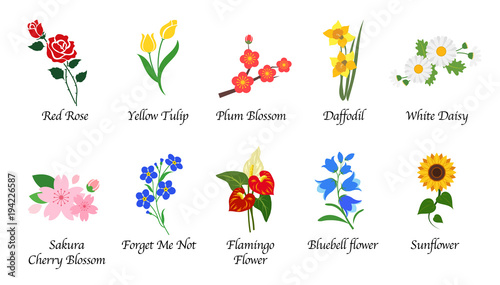 Organic nature botanic garden flower isolated vector collection set