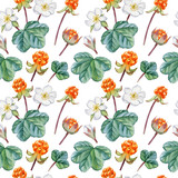 Cloudberry botanical detailed watercolor illustration. Seamless pattern with cloudberries, Can be used as print, packaging design, textile, fabric, element design, wrapping paper.