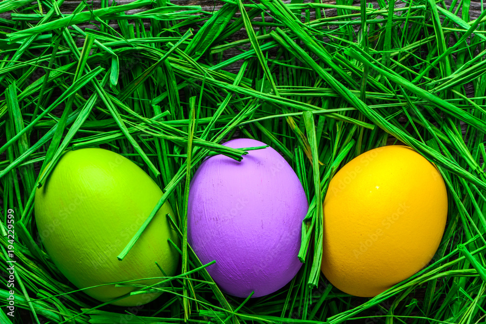 Easter eggs in grass, nest with eggs, background Easter eggs in grass, nest with eggs, background