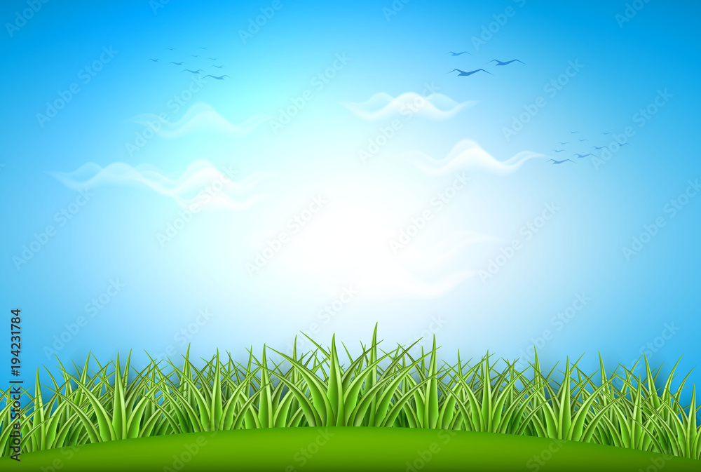 Obraz premium Vector realistic green grass meadow background