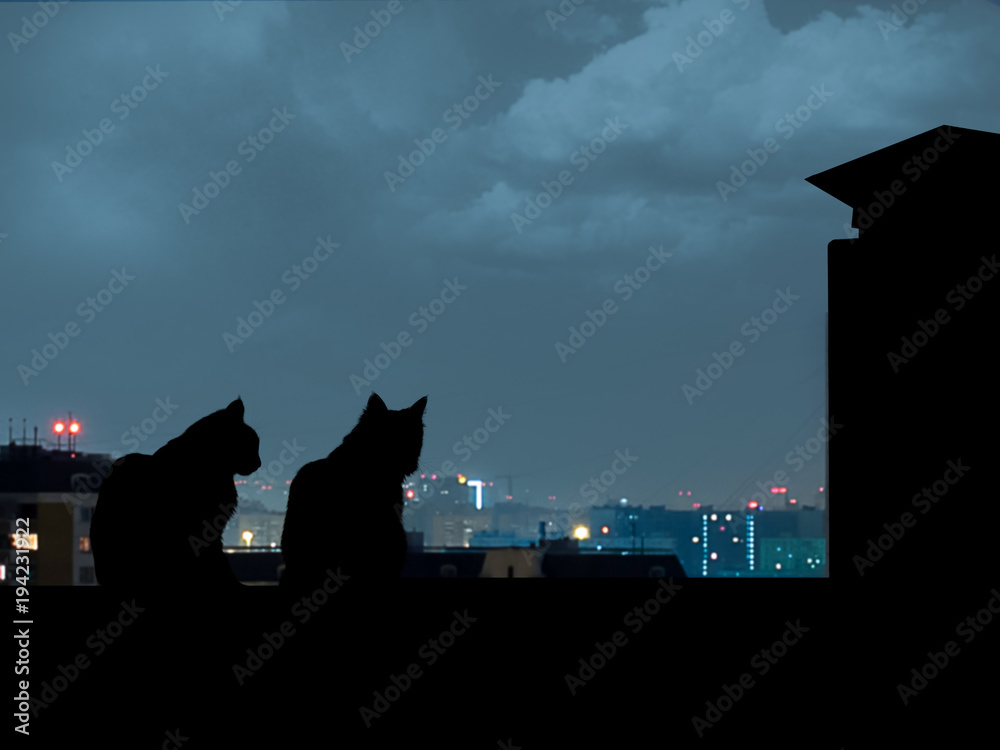 Silhouettes of cats on the roof. Night city away Stock Photo | Adobe Stock