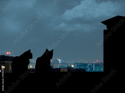 Fototapeta Naklejka Na Ścianę i Meble -  Silhouettes of cats on the roof. Night city away