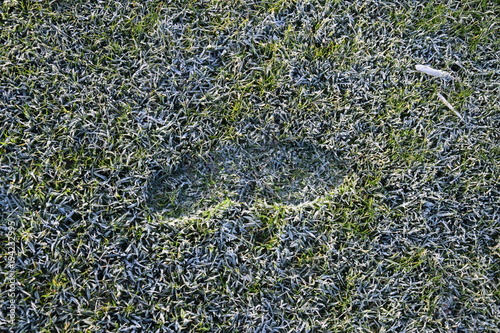 single human foot print in the frosty winter grass