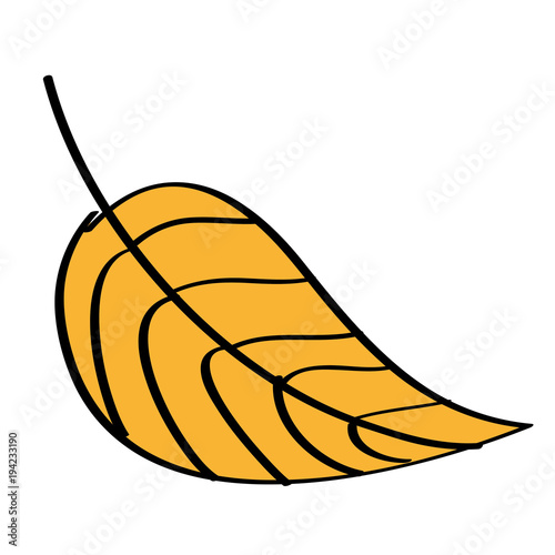 yellow leaf natural botanical icon vector illustration