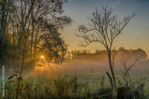 Morgennebel - morning mist