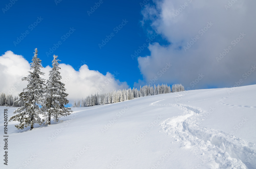 Trail on snow high in the Carpathian Mountains.