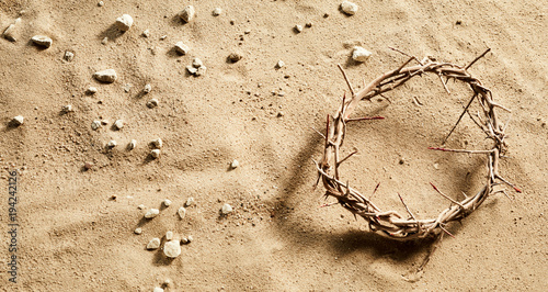 Foto Crown of Thorns on stony sand