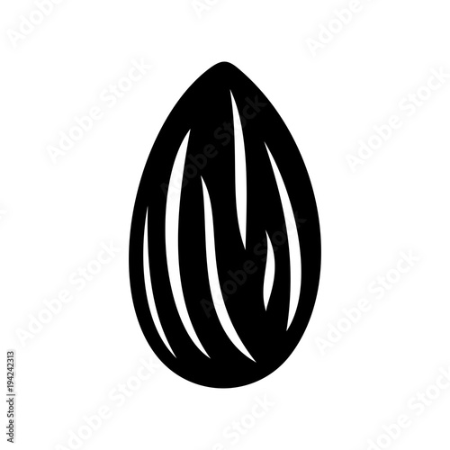 Almond vector icon