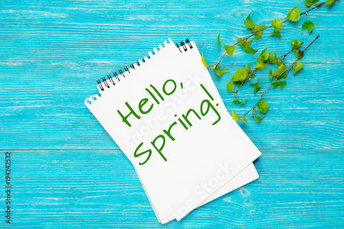 hello spring, message with fresh spring birch branches